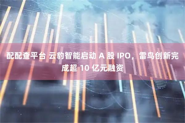 配配查平台 云豹智能启动 A 股 IPO，雷鸟创新完成超 10 亿元融资
