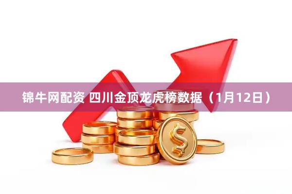 锦牛网配资 四川金顶龙虎榜数据（1月12日）