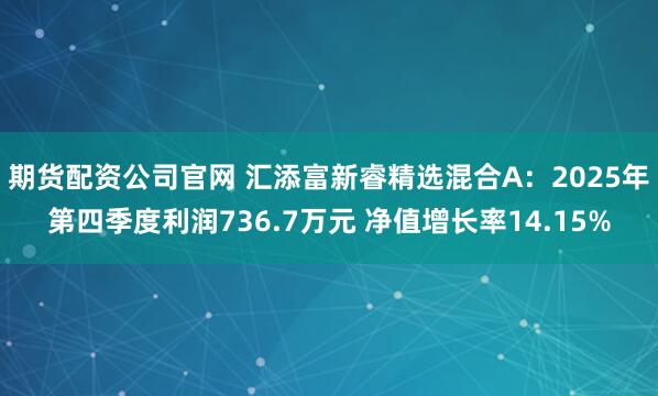 期货配资公司官网 汇添富新睿精选混合A：2025年第四季度利润736.7万元 净值增长率14.15%