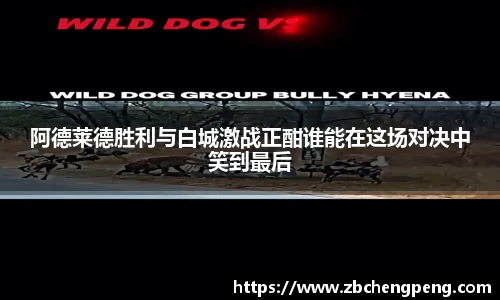 阿德莱德胜利与白城激战正酣谁能在这场对决中笑到最后